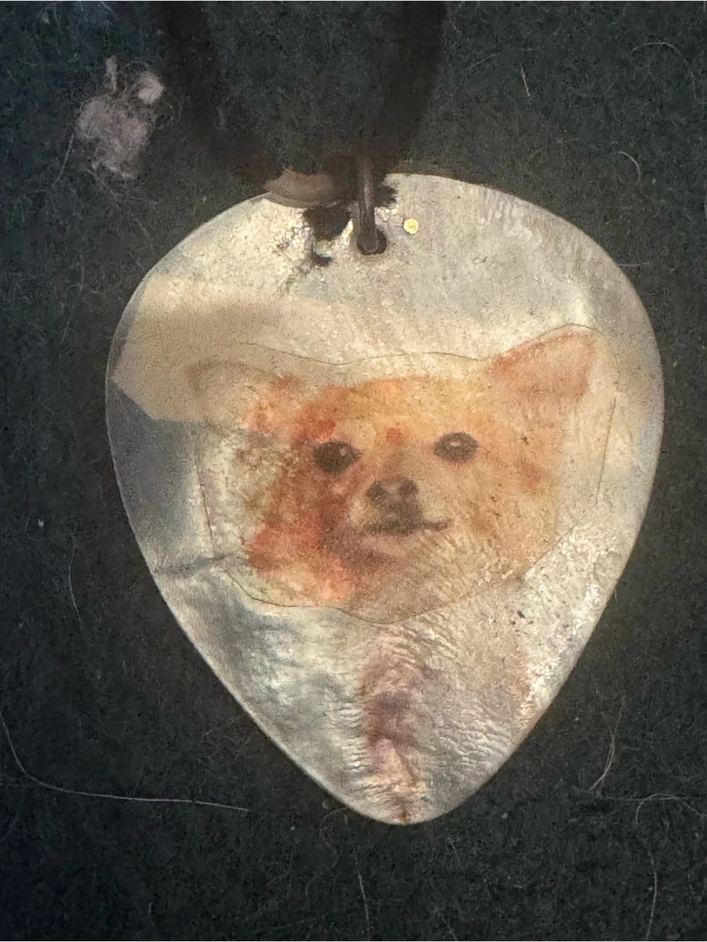 Pet Portrait Hanging Ornament - Cream French Bulldog Design 2 shell necklace